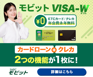 モビット VISA-W
